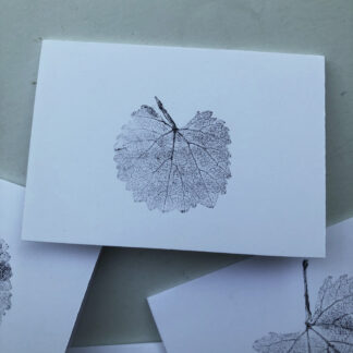 California Grape Cards