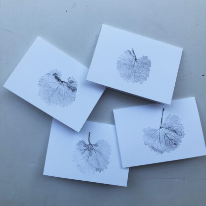 California Grape Cards - Image 2