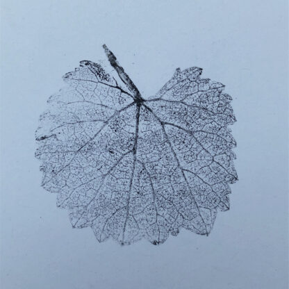 California Grape Cards - Image 3