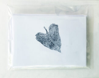 set of 4 california native plant cards featuring island morning glory leaf
