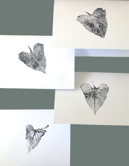 California native plant cards